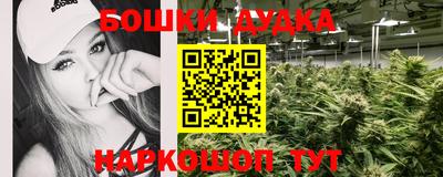 прущие грибы Бийск