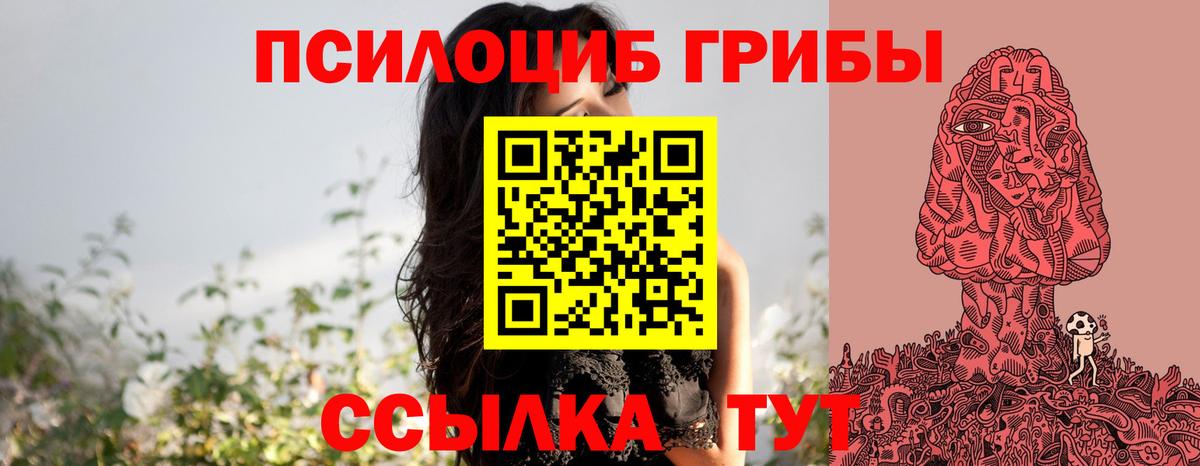 Псилоцибиновые грибы Magic Shrooms  наркота  Ишим  Вход с VPN 